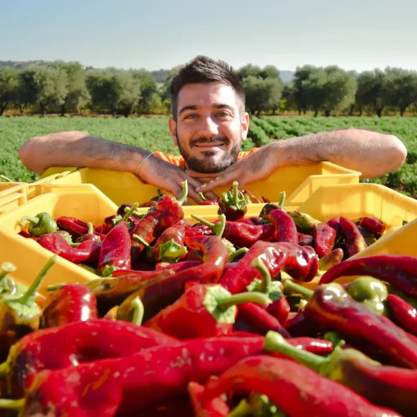 Antonio-IANNUZZI-Peperoni-web